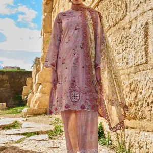 Raya by image - 3 Piece Unstitched Printed Embroidered Suit | Spring Printkari 2025 - PKSS25-D22