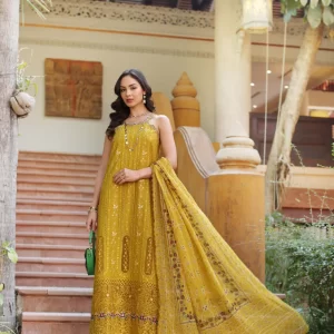 Noor By Sadia Asad Laserkari Unstitched Embroidered Lawn | D5-A