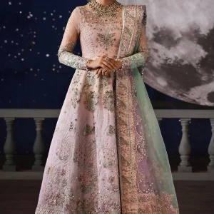 Nureh Jhoomro Luxury Embroidered Organza Unstitched 3 Piece Suit - NL-81 Daria - Pink - Formals Collection
