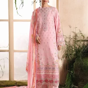 Silah Printed & Embroidered Raw Silk Collection 2025 by RajBari (D-01)