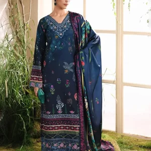 Silah Printed & Embroidered Raw Silk Collection 2025 by RajBari (D-02)