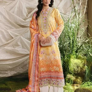 Silah Printed & Embroidered Raw Silk Collection 2025 by RajBari (D-03)