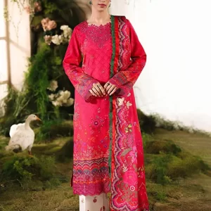 Silah Printed & Embroidered Raw Silk Collection 2025 by RajBari (D-05)