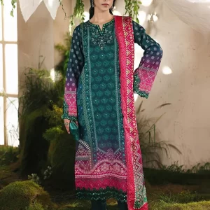 Silah Printed & Embroidered Raw Silk Collection 2025 by RajBari (D-08)